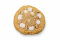 S'more Gains Protein Cookie (4 Pack)